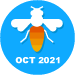 Diligent Solver October 2021