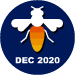 Diligent Solver December 2020