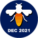 Diligent Solver December 2021
