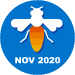 Diligent Solver November 2020