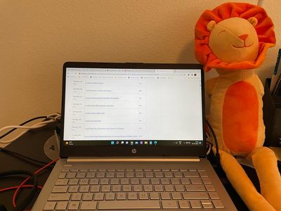 Smiling Lion while I catch up to Devtoberfest Tutorials
