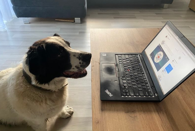 Leo with laptop