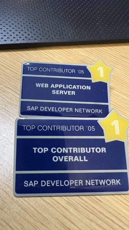 Top Contributor Pins from 2005