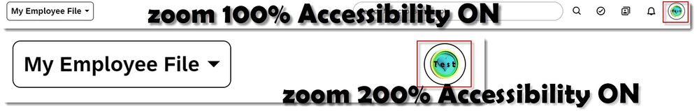 Globalheader-100-200-accessibility ON.jpg