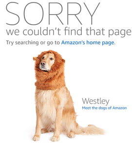 Amazon page not found message