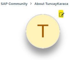 TuncayKaraca_2-1706797808996.png