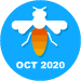 Diligent Solver October 2020